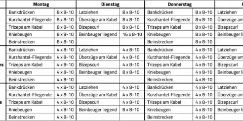 Trainingsplan für zwei Gruppen, aufgeteilt nach Tagen und Tageszeiten (morgens/abends). Ziel: 2 mal am Tag trainieren.