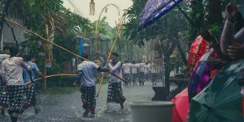 Ulewny deszcz na Bali podczas pory deszczowej. Mężczyźni w tradycyjnych strojach niosą drewniane kije, a widzowie chronią się pod kolorowymi parasolami.