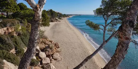 Blick auf den Strand von Calafell, Spanien, mit Pinien im Vordergrund und dem türkisfarbenen Meer.
