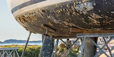La coque d'un bateau est couverte de bernacles, signe qu'un traitement antifouling bateau est nécessaire.