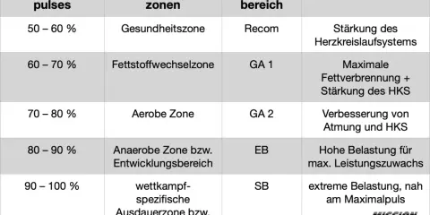 Tabelle zeigt Trainingszonen: Zone 2 (Fettstoffwechselzone, 60-70% Puls) für maximale Fettverbrennung und HKS-Stärkung.
