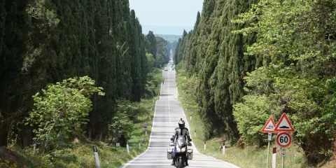 Un motociclista percorre un viale cipressi toscana, immerso nel verde e con il mare all'orizzonte.