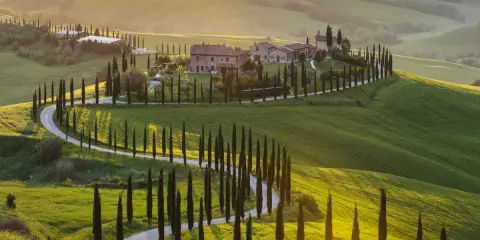 Colline ondulate del Val d'Orcia, cipressi lungo una strada tortuosa, un casale in pietra. Perfetto per cosa vedere in 3 giorni.