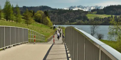 Rowerzyści na malowniczej trasie Velo Czorsztyn, z widokiem na jezioro i ośnieżone szczyty Tatr.