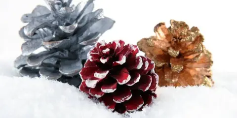 Piñas decoradas en tonos plateado, burdeos y dorado, cubiertas de nieve, evocan la magia del otoño y la anticipación de las fiestas.