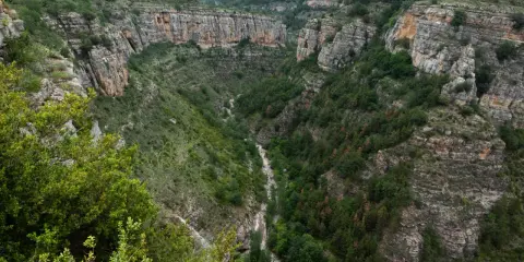 Impresionante cañón con paredes rocosas y vegetación exuberante, ideal para rutas senderismo La Rioja.