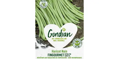 Haricots verts Gondian FINGOURMET, extra fins et sans fil. Les meilleurs pour un goût incomparable. Conditionnés en France.