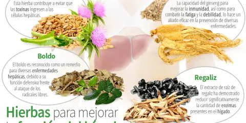 Remedios naturales para el hígado: ¿Son seguros y eficaces?