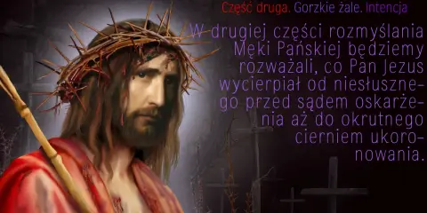 Jezus w koronie cierniowej, z krwawymi ranami, niesie krzyż. W drugiej części rozmyślania o Męce Pańskiej, z tej biednej ziemi tekst mówi o niesłusznym oskarżeniu i cierpieniu.