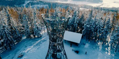 Wieża widokowa na górze borowej w zimowej scenerii, otoczona ośnieżonymi drzewami.
