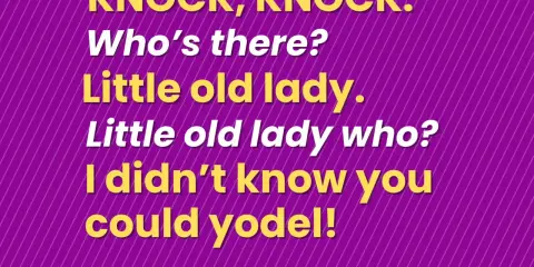 Żółty tekst na fioletowym tle z ukośnymi liniami: "Knock, knock. Who's there? Little old lady. Little old lady who? I didn't know you could yodel!