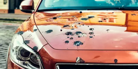 Vogelkot auf rotem Autolack. Ein Fall für die schnelle Reinigung, um hartnäckige rotkohlflecken entfernen zu können.