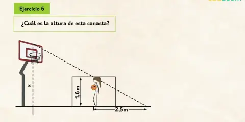 Ejercicio 6: ¿Qué es el teorema de Tales? Calcula la altura de la canasta usando proporciones, similar a cómo se aplica el teorema de Tales.