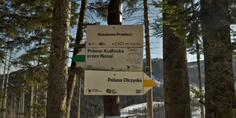 Droga przez las prowadzi na Nosalową Przełęcz (1103 m n.p.m.). Wskazówki kierują do Polany Kuźnickiej i Polany Olczyskiej.