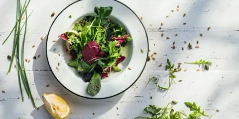 Insalate: Guida ai Tipi, Sapori e Benefici per Ogni Piatto