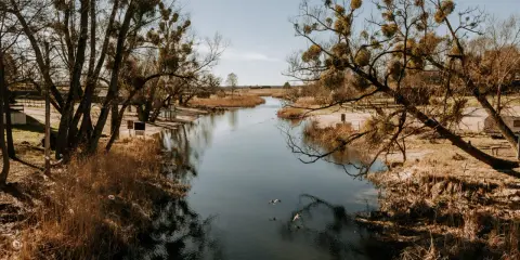 Spokojna rzeka, drzewa z jemiołą i trzciny. Idealne miejsce, by zastanowić się, gdzie na Mazury.