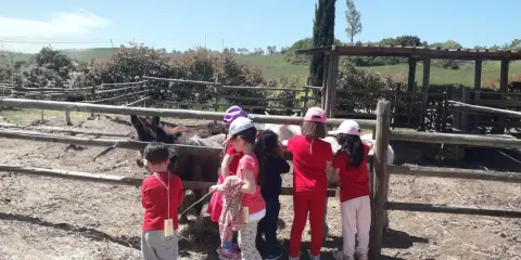 Bambini in visita a una fattoria vicino Firenze, osservano curiosi gli asini e altri animali nel recinto.