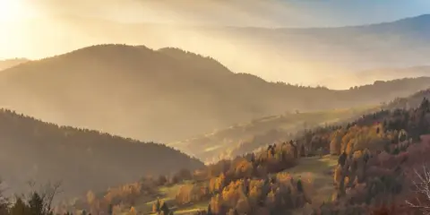 Jesienne słońce rozświetla łagodne wzgórza Beskidu Sądeckiego, malując lasy odcieniami złota i brązu.