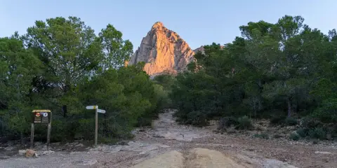 Inicio de la ruta al Puig Campana. Señales y camino rocoso entre pinos, con la imponente montaña iluminada al fondo.