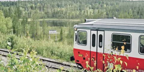 Roter und weißer schwedischer Zug fährt durch eine üppige Landschaft mit einem Schild "Arctic Circle".
