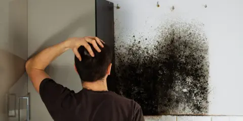 Mann kratzt sich am Kopf und blickt auf einen großen Fleck schwarzen Schimmel an der Wand neben einem Küchenschrank.