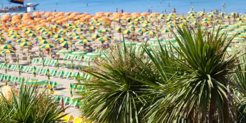 Palme verdi in primo piano su una spiaggia affollata della riviera romagnola, con ombrelloni gialli e arancioni e il mare azzurro sullo sfondo.