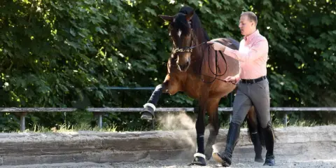 Ein Mann führt ein Pferd im spanischen Schritt. Das Pferd hebt ein Bein hoch, Staub wirbelt auf.
