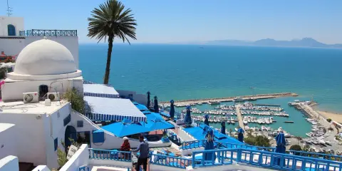 La Goulette, Tunisia: cosa vedere? Un panorama mozzafiato con il porto turistico, il mare azzurro e le case bianche con cupole e palme.