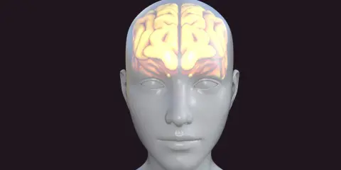 Glowende hersenen in een doorzichtige hoofd, symbolisch voor cognitieve belasting.