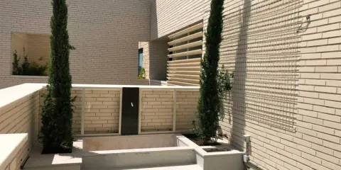 Terraza moderna con cipreses y un retranqueo de fachada que crea un espacio íntimo.