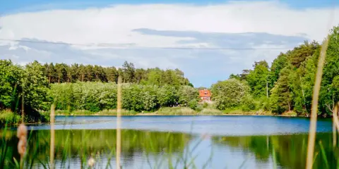 Spokojne jezioro otoczone zielenią, z domkiem na wzgórzu. Idealne miejsce na wypoczynek w okolicach Zielonej Góry.