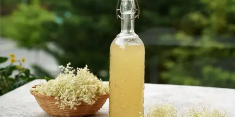 Syrop z kwiatu czarnego bzu: na co? Od przeziębienia po domowe SPA!