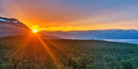 Solens strålar bryter fram bakom ett berg, badar skogen i ett gyllene sken. En glimt av det sydligaste midnattssolens magi över svenska fjäll.