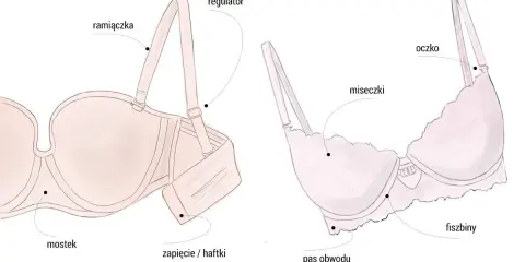 Ilustracja pokazuje budowę stanika, pomagając zrozumieć, jak dobrać stanik idealnie dopasowany do Twoich potrzeb.