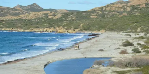 Piękna plaża na Korsyce, idealne miejsce do zobaczenia. Woda, piasek i góry tworzą malowniczy krajobraz.
