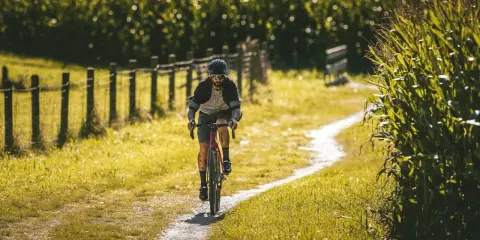 Ein Mann fährt mit seinem Rennrad auf einem Feldweg im Schwarzwald, umgeben von Maisfeldern und Sonnenschein.