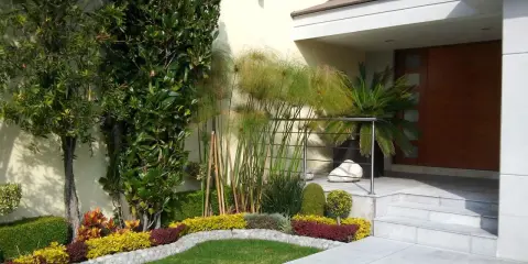 Un ingresso esterno casa curato con piante verdi, fiori colorati e papiri, un invito ad abbellire l'ingresso esterno casa con stile.