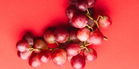 Pęk czerwonych winogron, bogatych w resweratrol, na jaskrawoczerwonym tle.