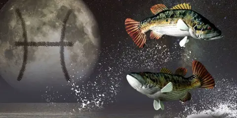 Dwa ryby wyskakują z wody pod księżycem z symbolem Ryb. Ascendent w Rybach, symbolizujący marzycielskie i intuicyjne połączenie ze światem.