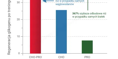 Ile białka po treningu? Ekspert radzi: dawki, okno i źródła