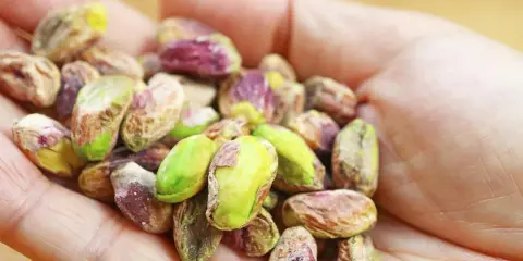 Garść pistacji, bogatych w białko i zdrowe tłuszcze, prezentuje swoje zielono-fioletowe łupinki.