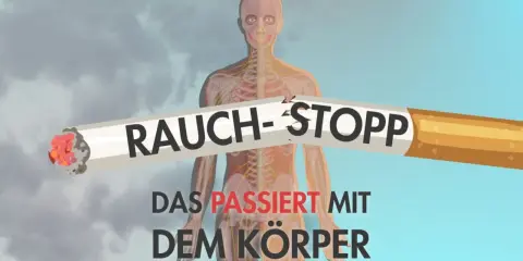 Rauch-Stopp: Ein zerbrochenes Zigarettenstück mit der Aufschrift "Rauch-Stopp" liegt vor einer transparenten menschlichen Anatomie. Darunter steht "Das passiert mit dem Körper".