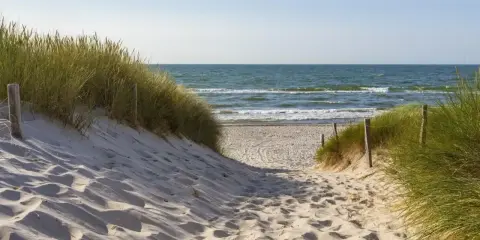 Piaskowa ścieżka prowadzi na plażę. Kiedy najlepiej jechać nad morze po jod? Wiosna i jesień to idealne pory roku.
