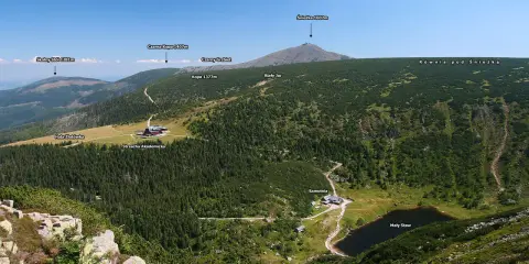 Widok na Karkonosze z górującą Śnieżką. W dole lasy, hale i Mały Staw. Słonecznik górski kwitnie na zboczach.