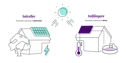 Illustration visar hur solceller ger el och hur solfångare värmer vatten.