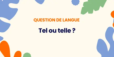Question de langue : "Tel ou telle ?" Le choix dépend du genre, une question qui se pose souvent.