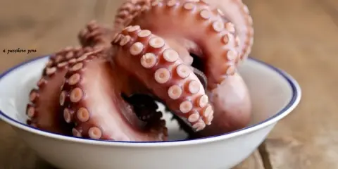 Pulpo listo para cocer en un cuenco blanco con borde azul, sobre una mesa de madera rústica.