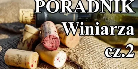 Kiedy butelkować wino domowe? Poznaj kluczowe sygnały i uniknij wpadki