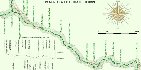 Sentiero sul crinale degli Appennini Emilia Romagna, da Monte Falco a Cima del Termine, con profilo altimetrico e rosa dei venti.