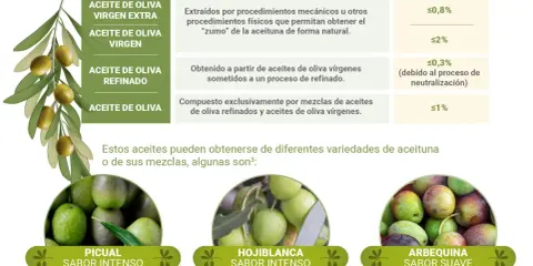 Aceite de oliva, un aceite vegetal, se clasifica por su obtención y acidez. Se muestran variedades como Picual, Hojiblanca y Arbequina.